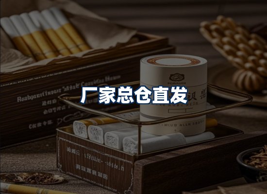 专业团队办公环境